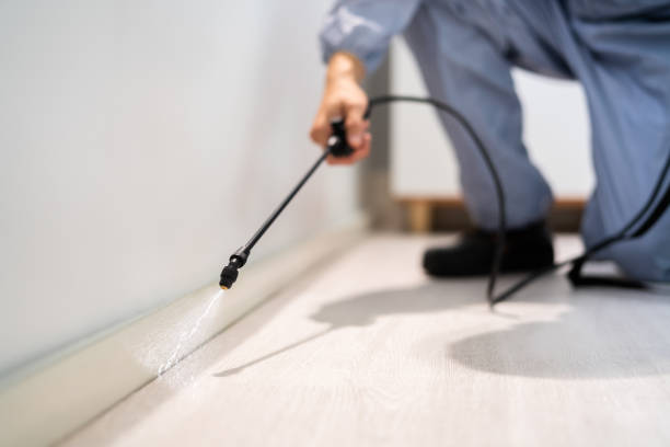 Professional exterminator conducting IPM assessment in Lakin