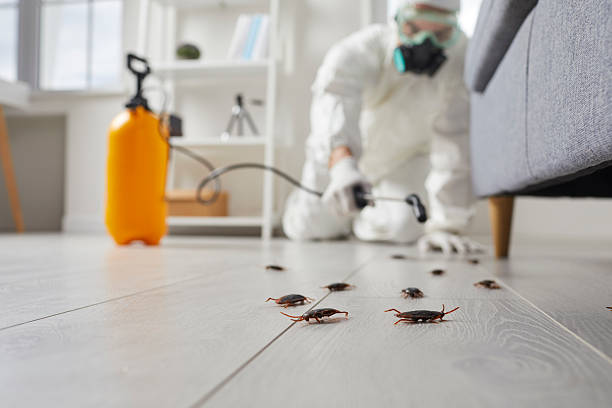 Commercial Kitchen Cockroach Control in Lakin